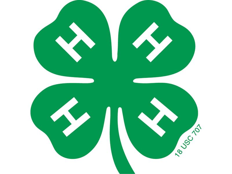 Logo for 2024 Park County 4-H/FFA Ag Fair