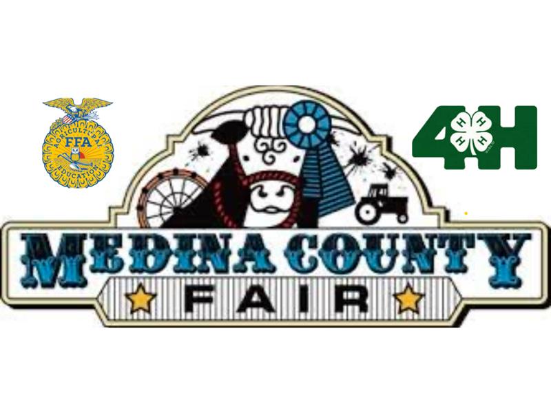 Logo for 2025 Medina County Fair