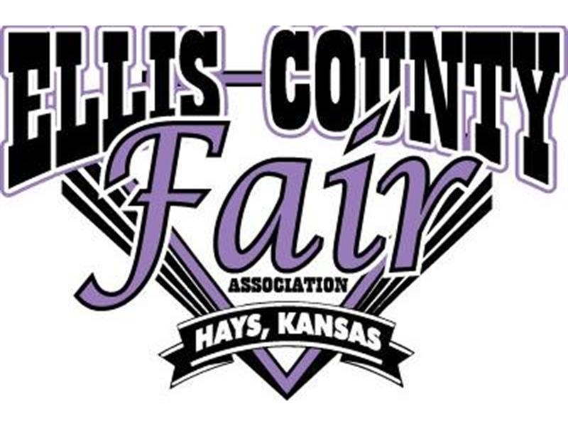 Logo for 2025 Ellis County Fair